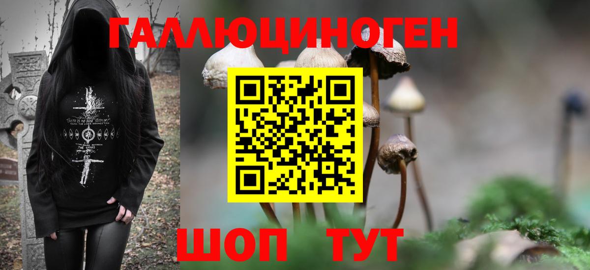 сколько стоит  Галлюциногенные грибы Psilocybe  Рязань  Вход с VPN  Псилоцибиновые грибы прущие грибы 